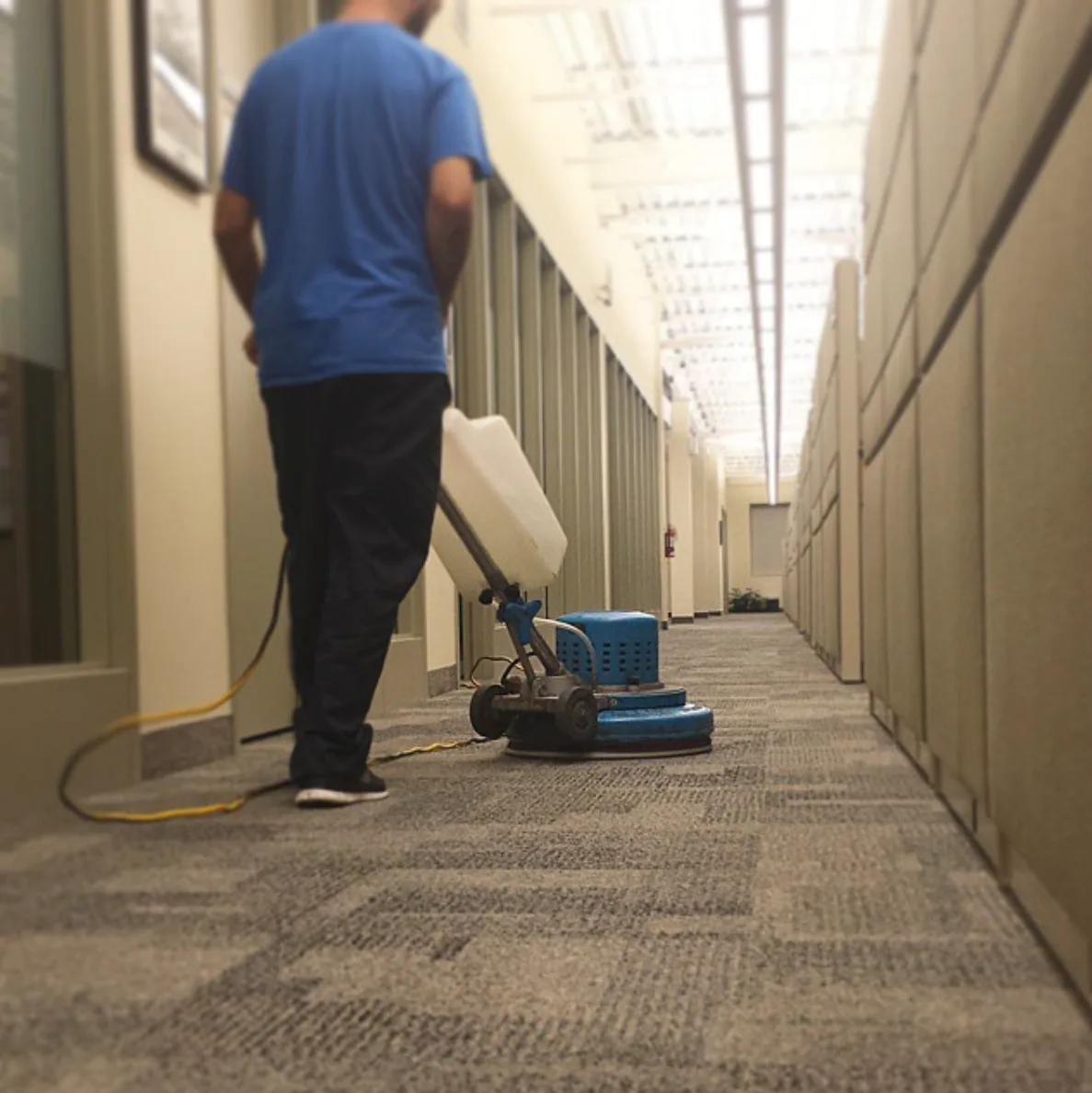 Carpet Care